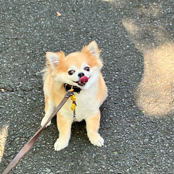 30983f83 ac3b 4fd4 acb5 04beb5d65f5e 1752977899451