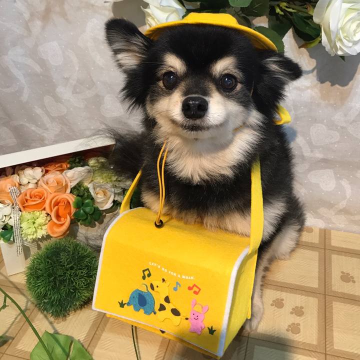 30985934 a1ff 4647 a177 33aa7c8c969b 1584543410026