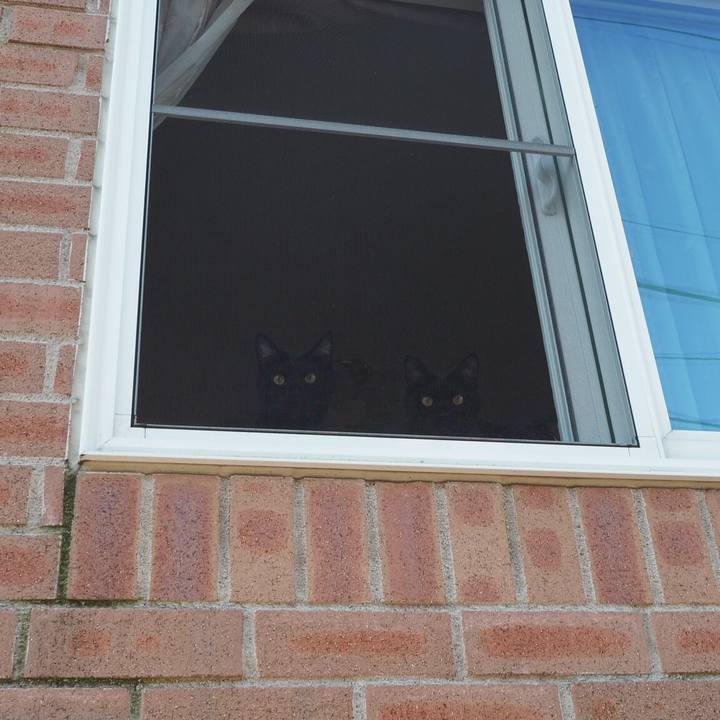 30985c85 59e0 486d a6a1 ee18e82165a0 1541114849298