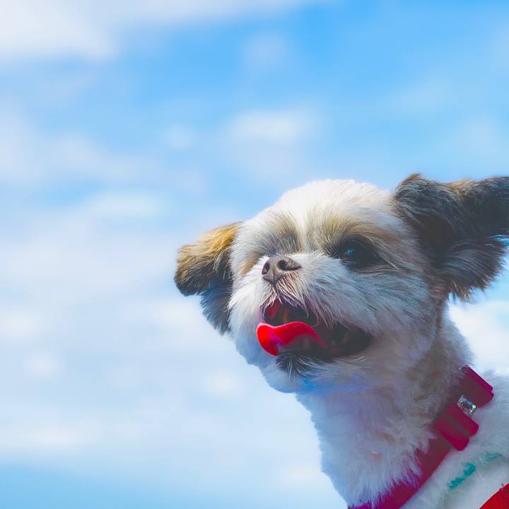 309893ca f0a1 4500 bd95 70b89d496371 1632455627690