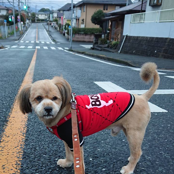 3098e701 2073 4f06 962b 4f4566df0367 1583619931882