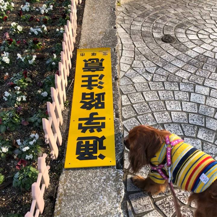 3098f852 ff58 4085 8dc4 56b7935a4a51 1642293520214