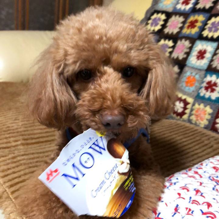 3098f896 952f 4227 8fbf 4b73aa7eabb4 1555928163268