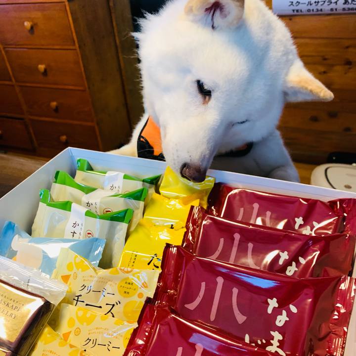 30994135 734c 4df5 9aee 5c696e9c1355 1640480793832