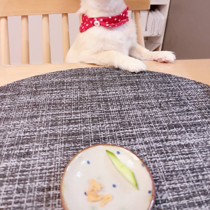 30996489 0fcb 421c 929f b2ac332f8c8e 1685697260100