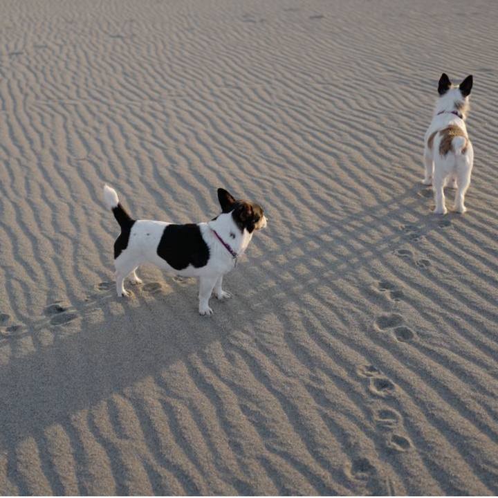 30997271 d9ce 486e b9a4 71145ac3fcb9 1711616588067