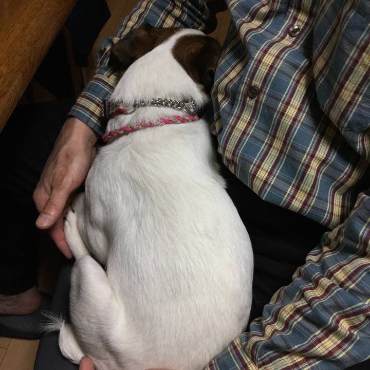 3099782b 8f27 4b5f a101 3542ff9afb1a 1522664292196