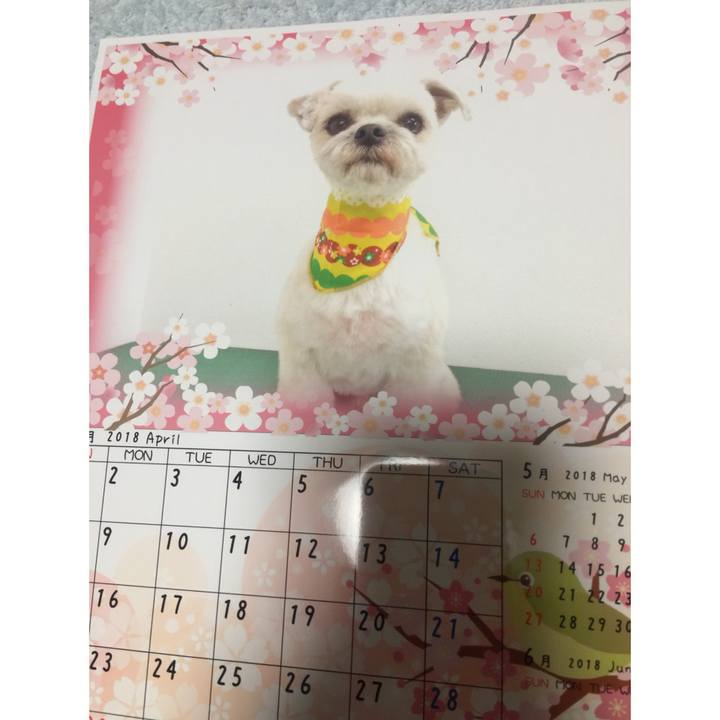 3099a4f0 7e3c 4e67 b5df b3625d9225c6 1523095925381