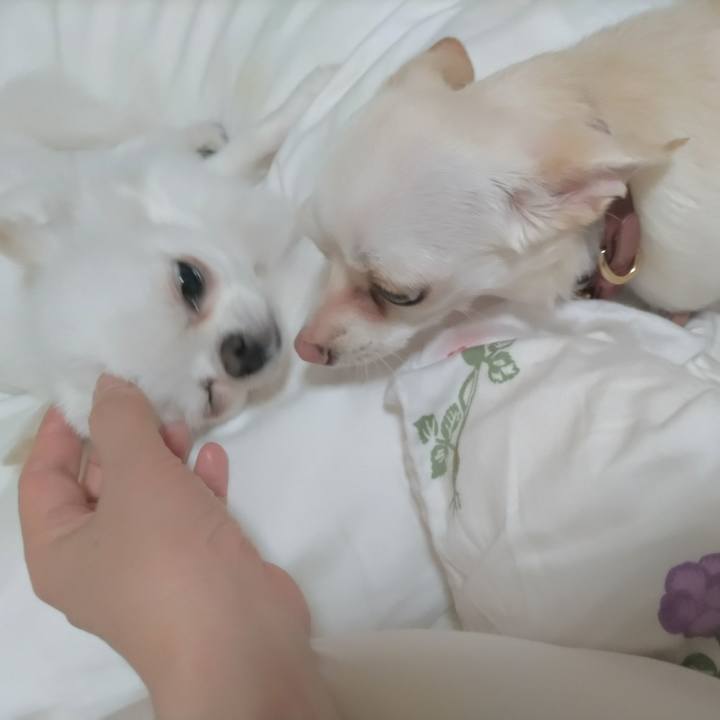 3099c8e1 a3f8 4dbd 892a 9e04c3816f73 1750081669617