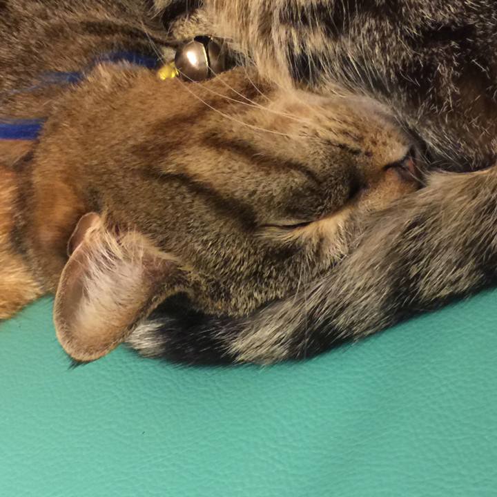 3099cc93 3273 497c 99b9 8e8fef9ba9b4 1555494177837