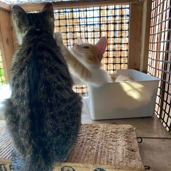 3099ef59 4277 49b8 a5c0 e854ea2d1d78 1632960773378