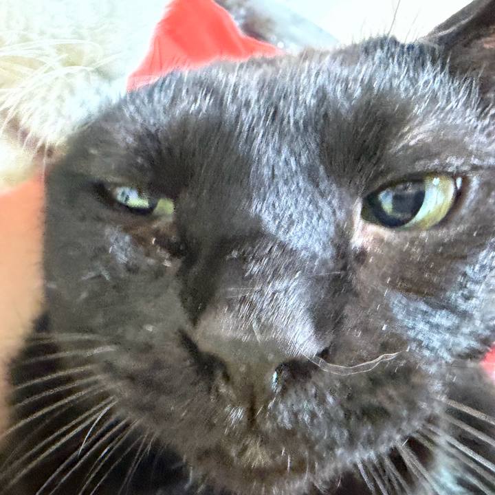 3099fb16 3203 41fb a0a2 f81188781073 1772369010507