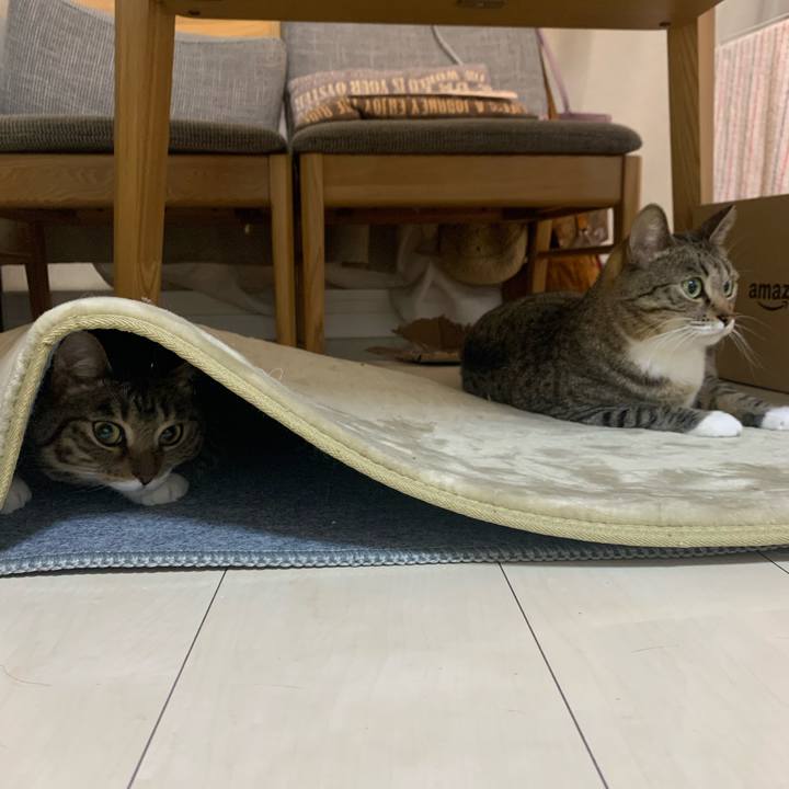 309a090e 8430 4404 8a59 425c70542189 1611408618556