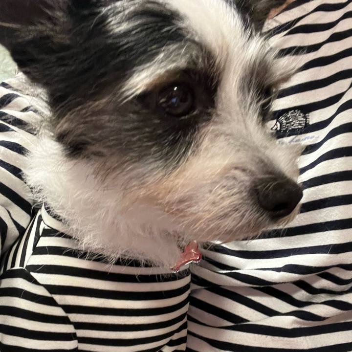 309a423c 6689 4d24 9c9a 23dbf567347e 1697030671345