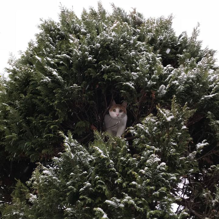 309a6200 696d 47df a605 b41cf7867e66 1577178837637