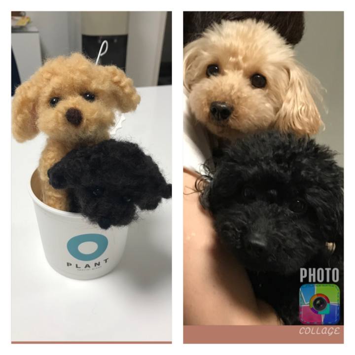 309a7f87 ca5a 41ec a086 680fc3eaae24 1516794401667