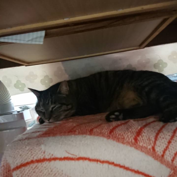 309a8654 0229 4c42 9369 dfa4d3dcf74c 1644109516623