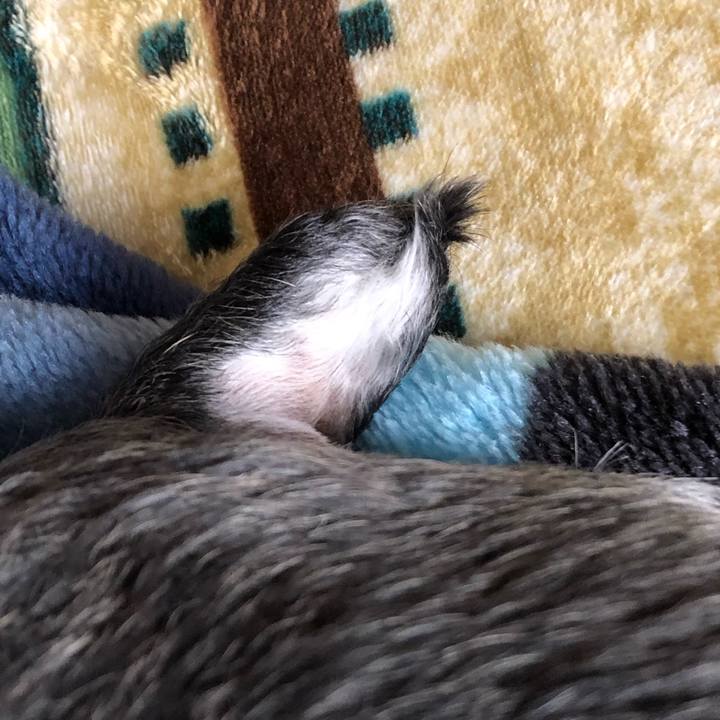 309a8aad ec03 4808 b027 c817691f6a30 1586409880188