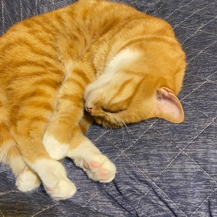 309a9205 410d 433d a92e 5df3eab336bb 1624626525433