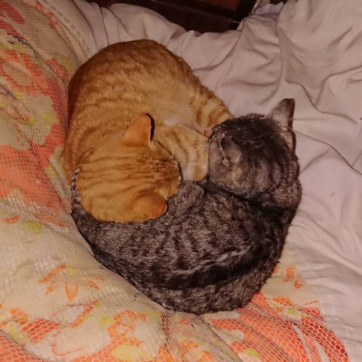 309abc58 7251 441b 912a 18a1974e2b30 1606132006119