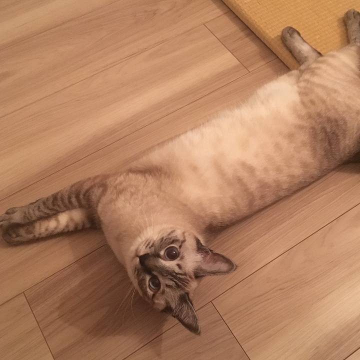 309b012f 86df 4bf7 b318 57ed8cd136e4 1565264546607