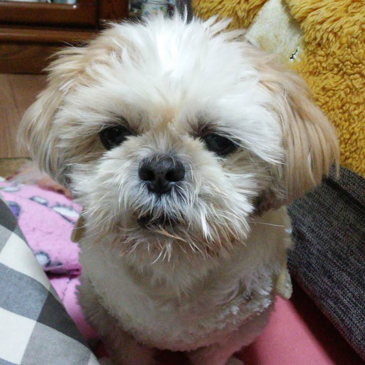 309b1115 2dac 47d6 85e9 f02e915cb006 1510929119381