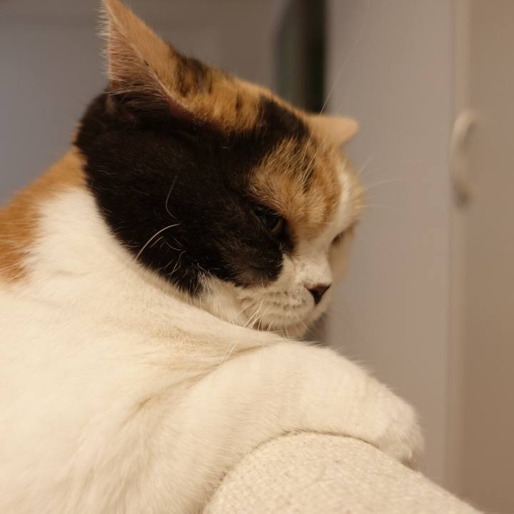 309b31c5 7c20 4dd9 bbd3 58230916ee8f 1518540367262