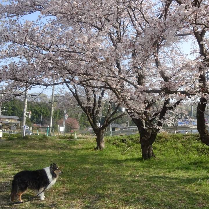 309b321e fb3f 4489 80cc 9d94f01f9a2a 1586439448257