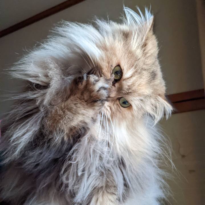 309b3e24 0fa5 4006 a09e a5ca8d063c34 1647506308203