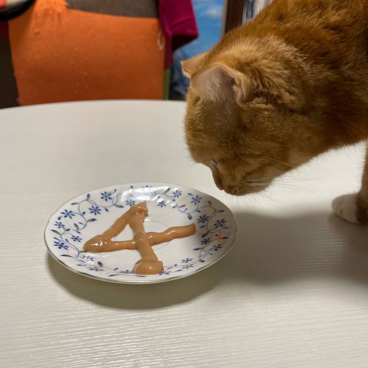 309b42f3 4f25 41fb ab3e 498019506d64 1608214028011