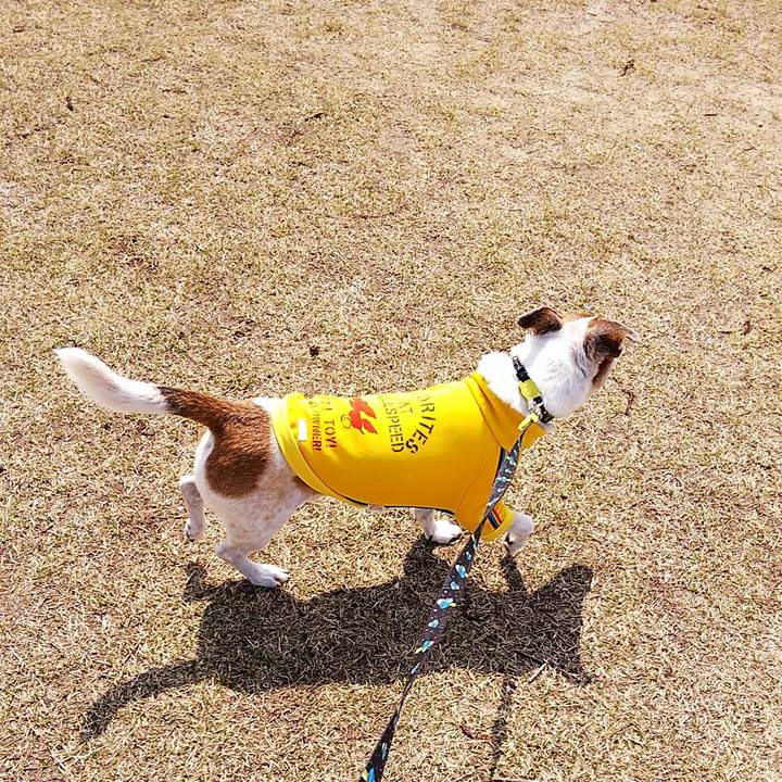 309b6484 7b74 46a4 b8c0 32a901d8afb8 1554530625043