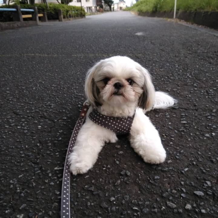 309bed4b 3b87 49fa ab09 18a363b1a031 1559296238088