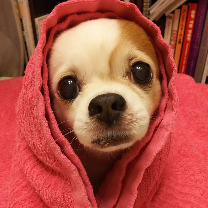 309c576b 77b6 40c5 ac55 be323a210f6b 1591943124131