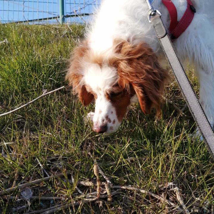 309c5774 9bbb 45a8 8b36 29410b759626 1581411684656