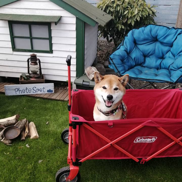 309c6293 9575 4b84 ad4e f2c1b75a70f7 1680504138753