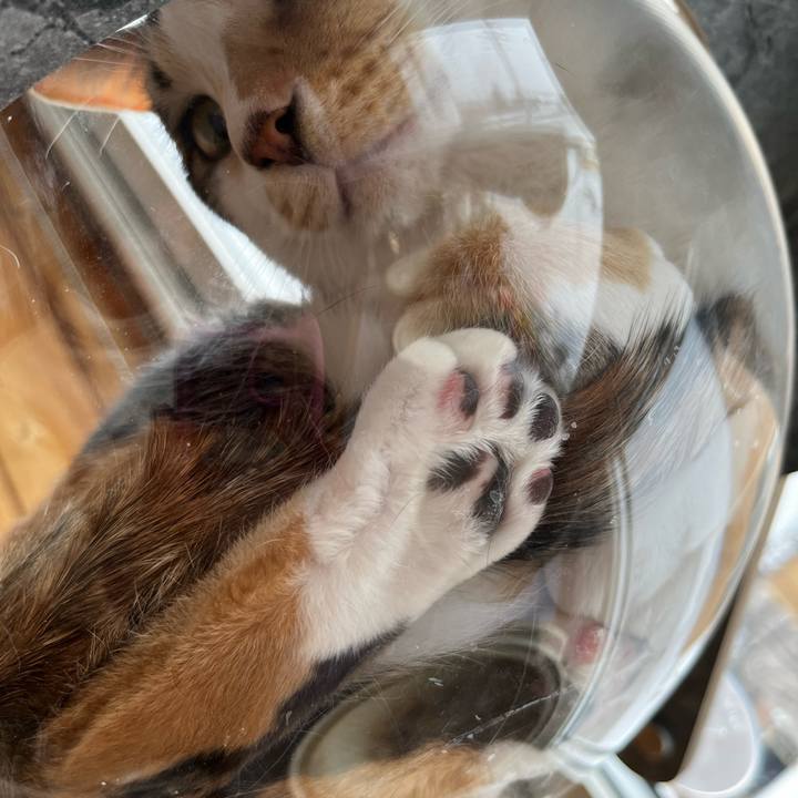 309c84b4 7f54 4aa3 a7a9 e76a380a8626 1707606055417