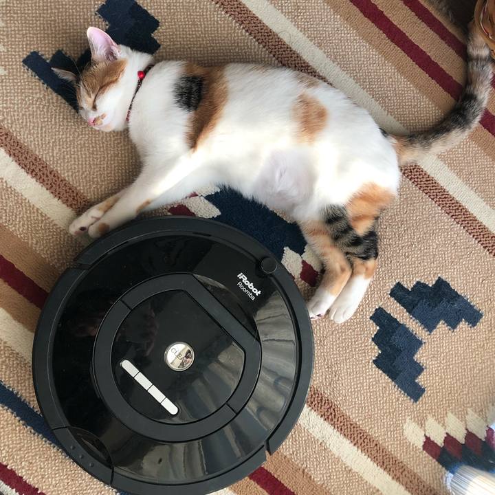 309c94f5 0d4a 44ed b4ea ee760bb41628 1575183507121