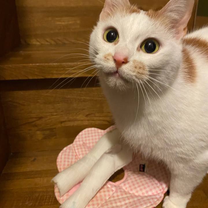 309cb314 cbe2 45cd bb19 2104113012dd 1639908874284