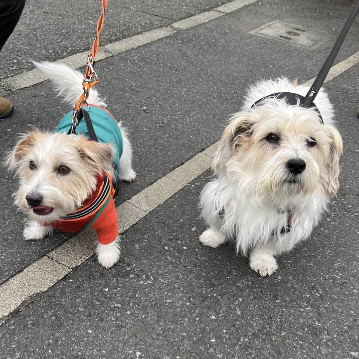 309cd88f eec0 44e6 96d5 7a32ba3e98eb 1766806907337