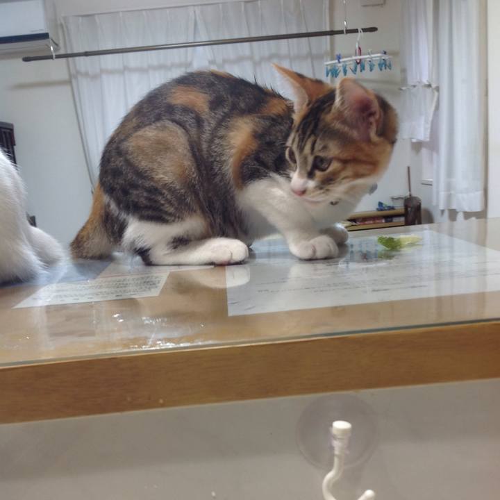 309d2ea6 eeab 4135 9bfd 0f322025f2c0 1629065986317