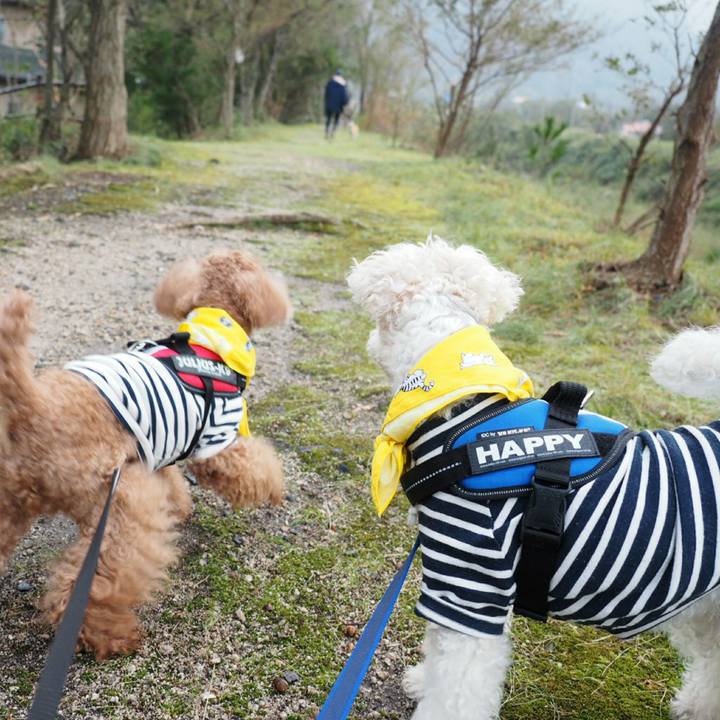 309d5b0a b600 4227 9b0f 9cd7e1579453 1509031004374