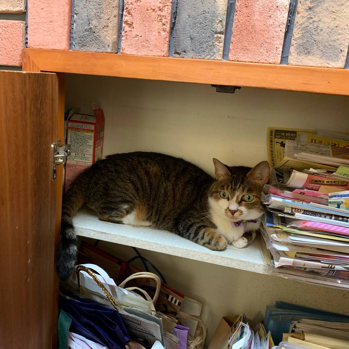 309d608d 18f4 4788 a21e d45ad21cd3f0 1564784554570