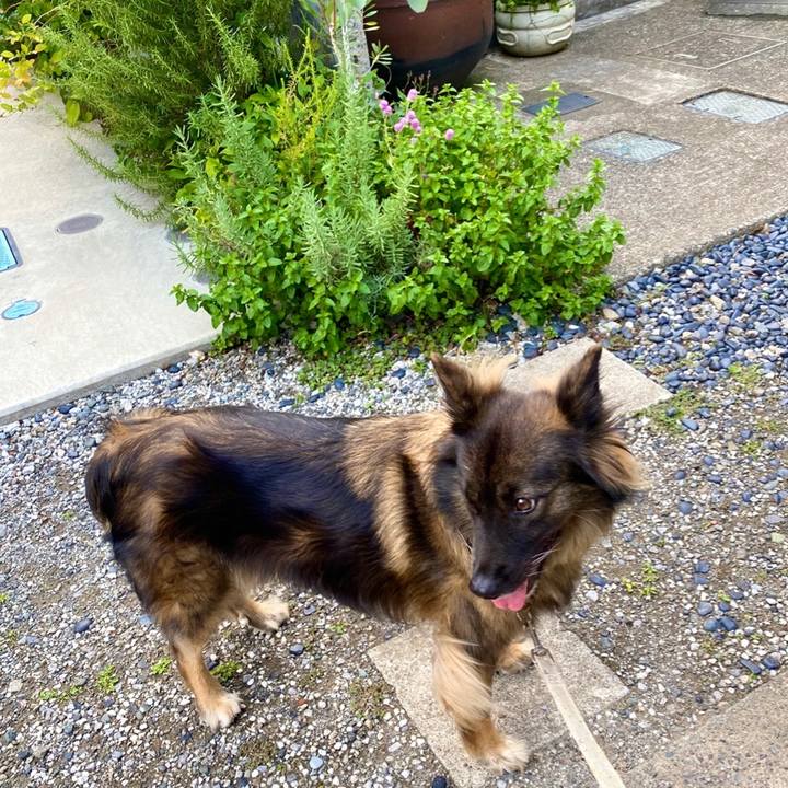 309d6ff2 3b09 4cd5 b957 2c654e47ddb3 1758201558181