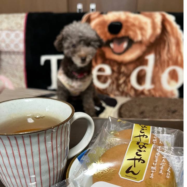 309d70da ee43 4e3d b9ec 6c7c823f7446 1734591418144