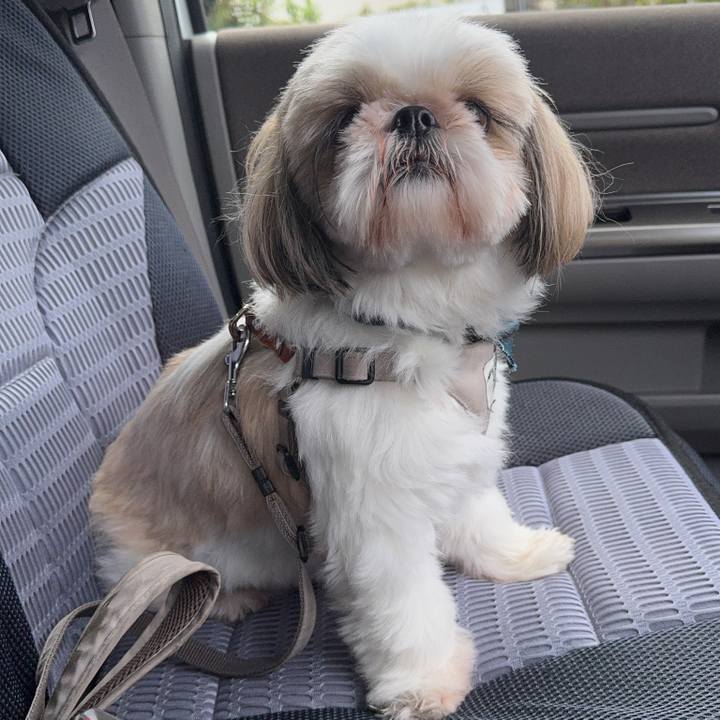 309d9265 247d 4cfa 9ab4 f5e491ea8ee9 1762043688221