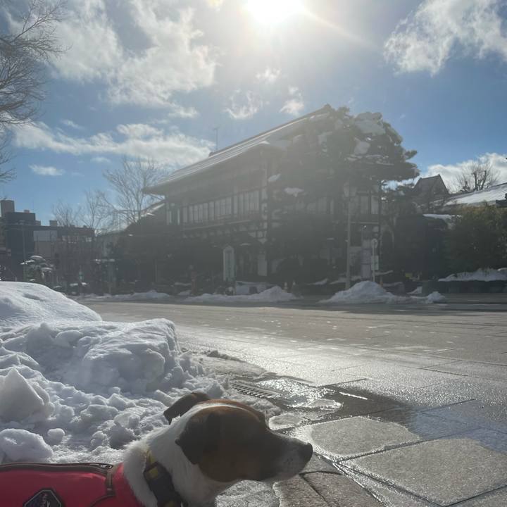 309dae76 a481 426a a91a e52a7c354525 1643010187806