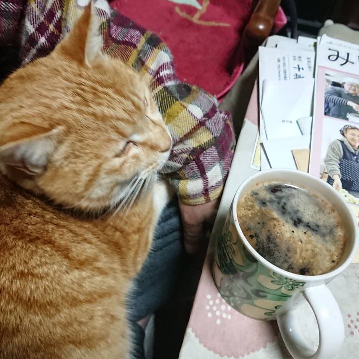 309ded74 4eb7 417c bea9 93679d8eae31 1581800957691