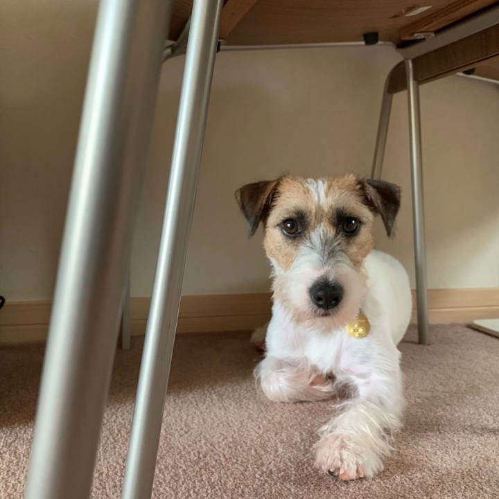 309e0eb8 f2d1 46a7 94ef e87ea1732cfc 1598419787644