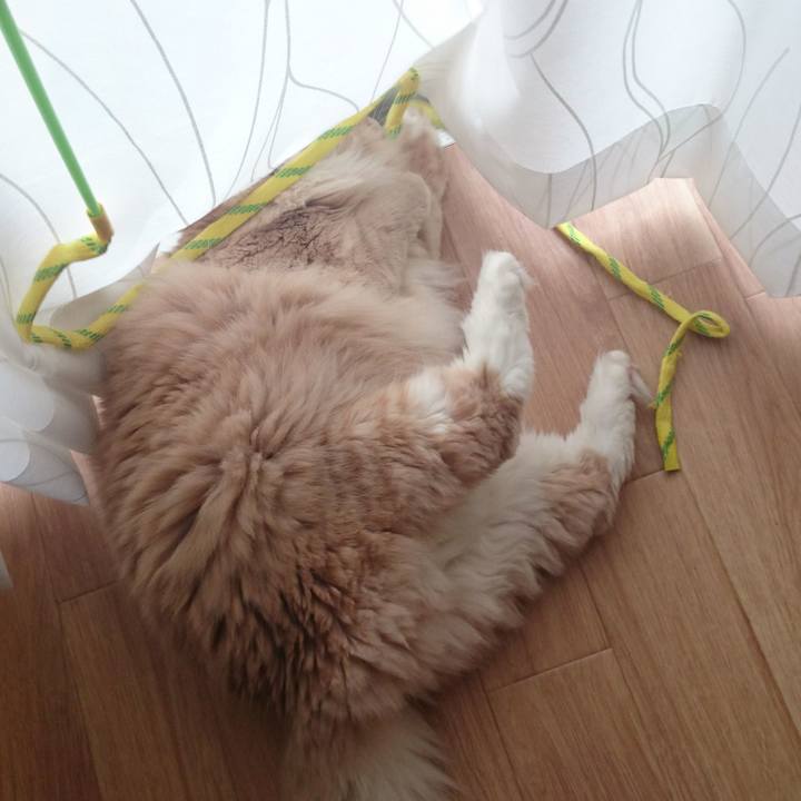 309e3fa4 7703 41ba ae8c 489c00cb12e9 1512363866757