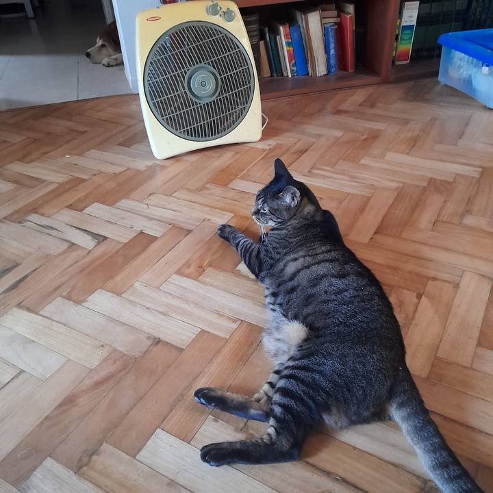 309e459b 21f2 4788 a69e 0691e2ed03c9 1766853907832